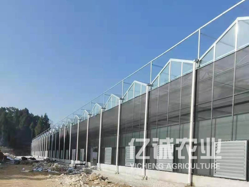 建溫室大棚需要多少錢？連棟溫室工程造價