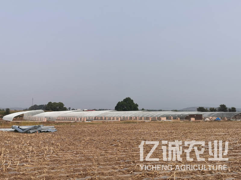 智能日光溫室大棚室內(nèi)可利用空間大，造價(jià)低，使用方便，通風(fēng)效果好