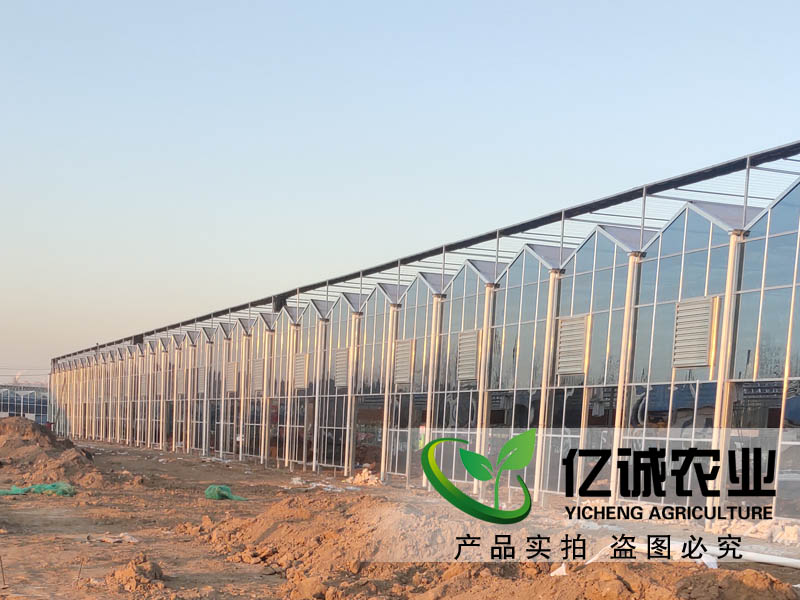 建一畝地溫室大棚多錢？用什么材料比較好？