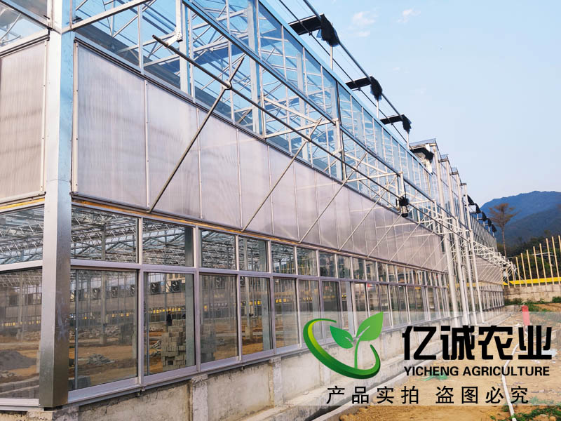 玻璃溫室大棚造價多少錢一畝？玻璃連棟溫室大棚價格高不高？